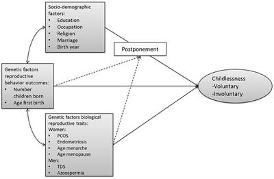 Using Polygenic Scores in Social Science Research: Unraveling Childlessness